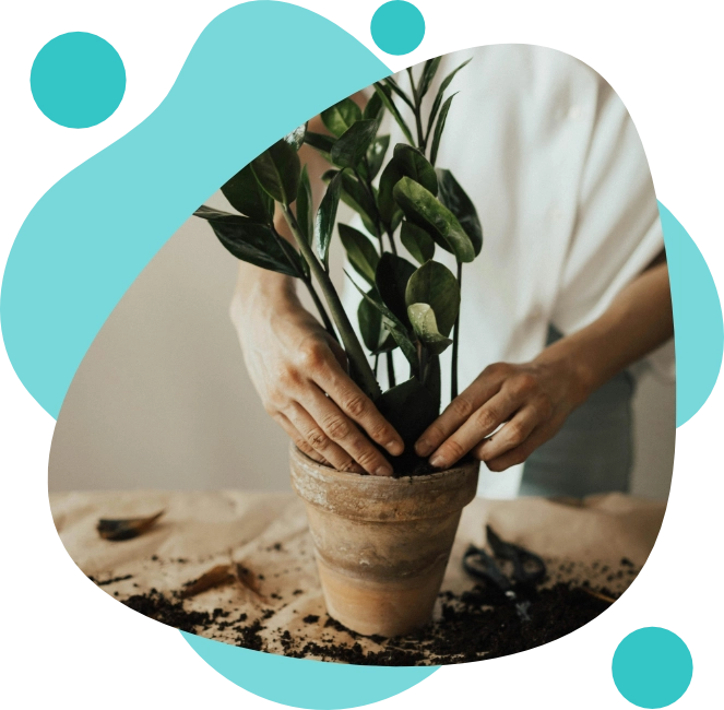 Wecareabouttheenvironment bakingessentials